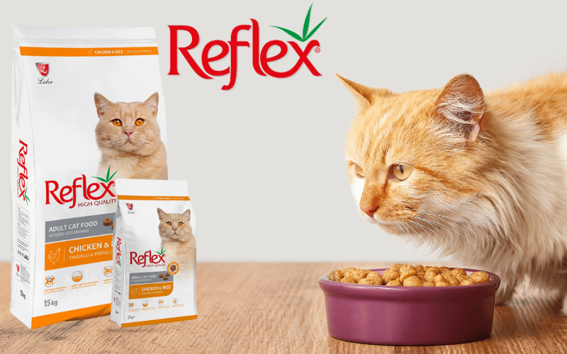 Reflex Cat Food Review